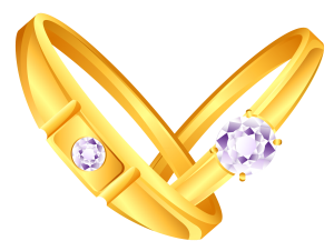 Wedding rings PNG-19498